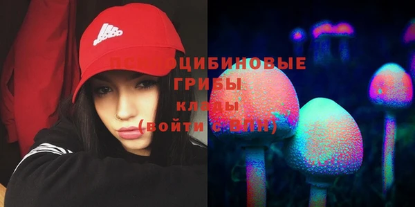 ПСИЛОЦИБИНОВЫЕ ГРИБЫ Наволоки