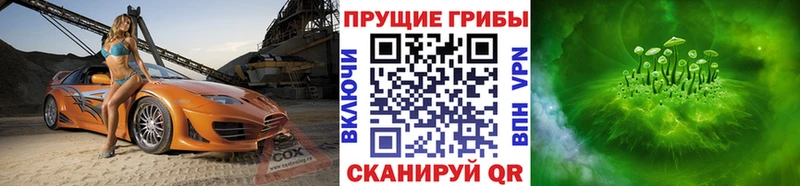 Галлюциногенные грибы Cubensis  сколько стоит  Ивангород 