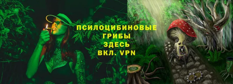 купить  сайты  Ивангород  Галлюциногенные грибы MAGIC MUSHROOMS 